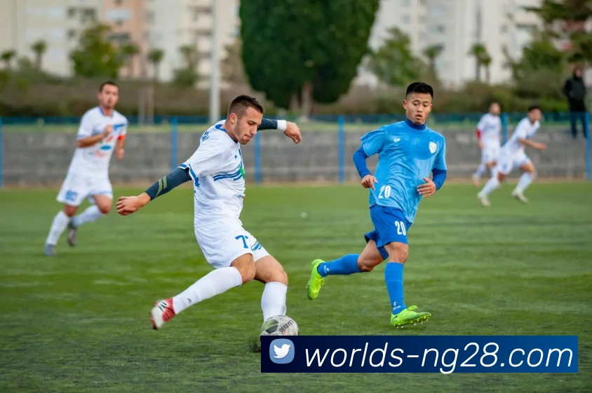 南宫体育官网平台生态图